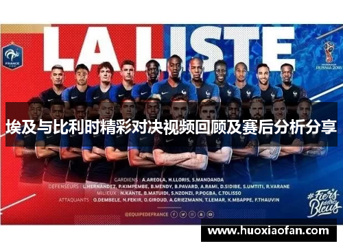 埃及与比利时精彩对决视频回顾及赛后分析分享