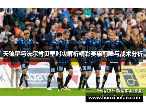 天狼星与法尔肯贝里对决解析精彩赛事前瞻与战术分析